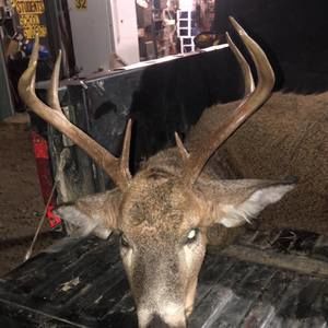 Meet your Posher, Derek